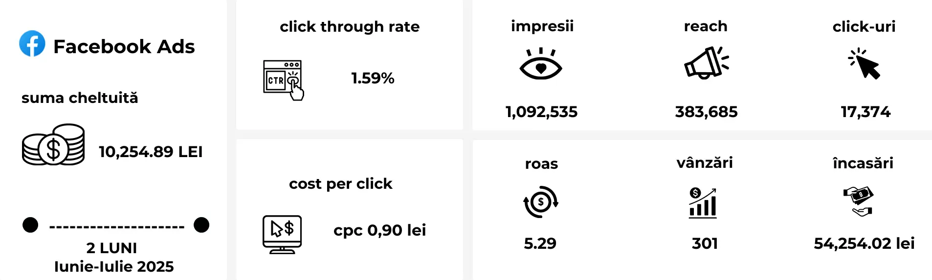 Campanie Meta Ads cu ROAS ridicat pentru promovarea pachetului de lectură motivațională.