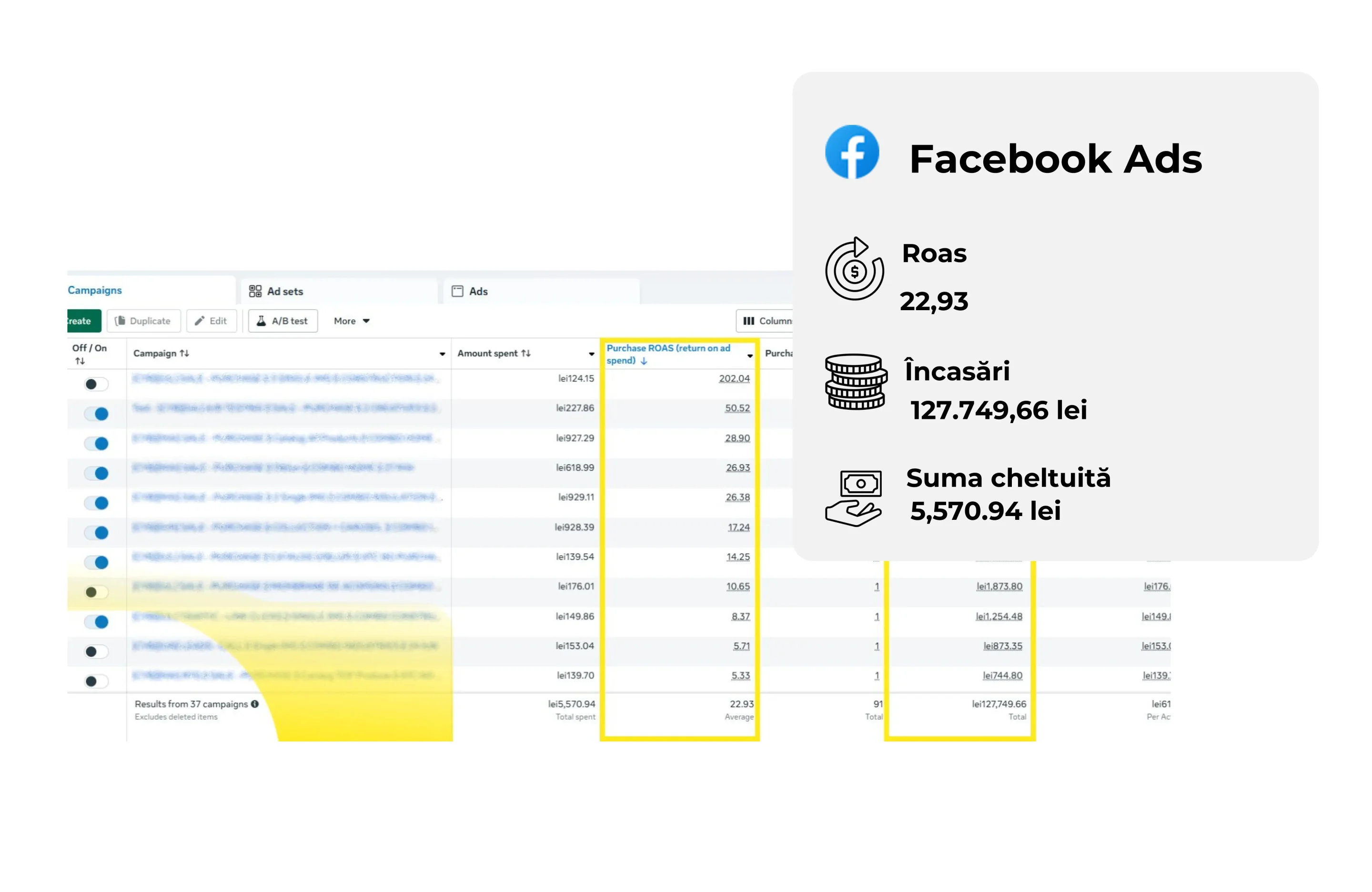 Studiu de caz în industria construcțiilor – ROAS și vânzări generate prin campanii online pentru materiale de construcții.