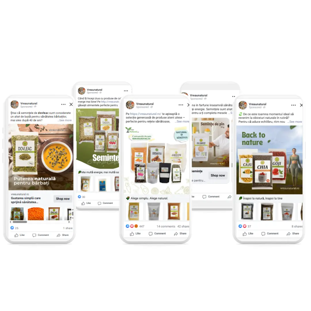 Funnel complet de campanii Meta Ads pentru ecommerce în nișa produselor naturale