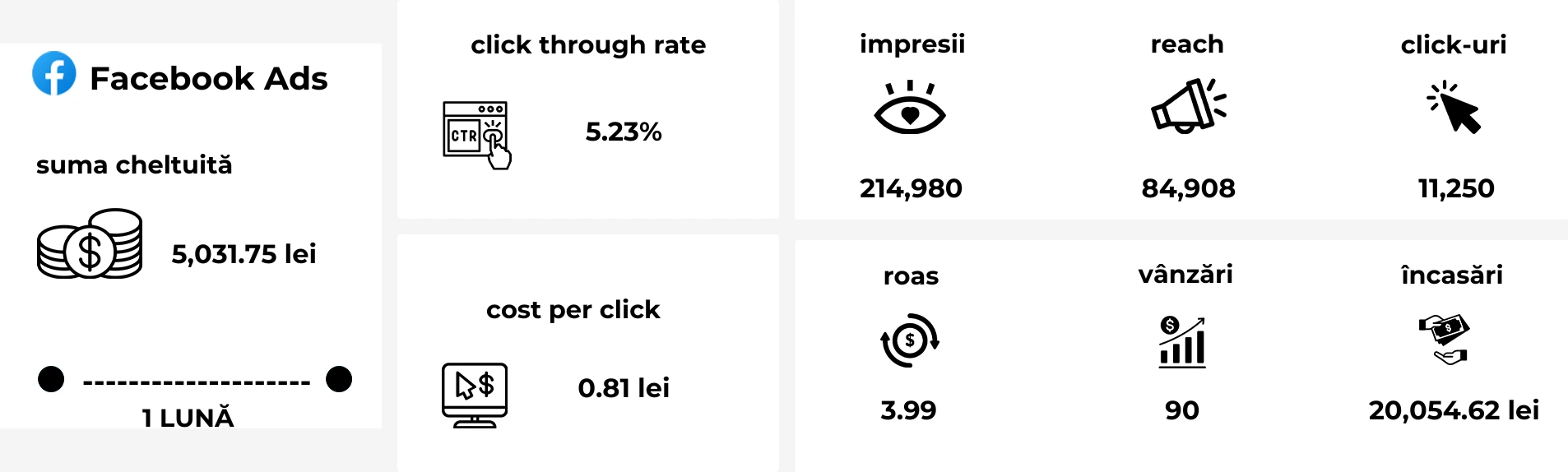 Campanii Meta Ads pentru produse gourmet, focus pe conversii și remarketing