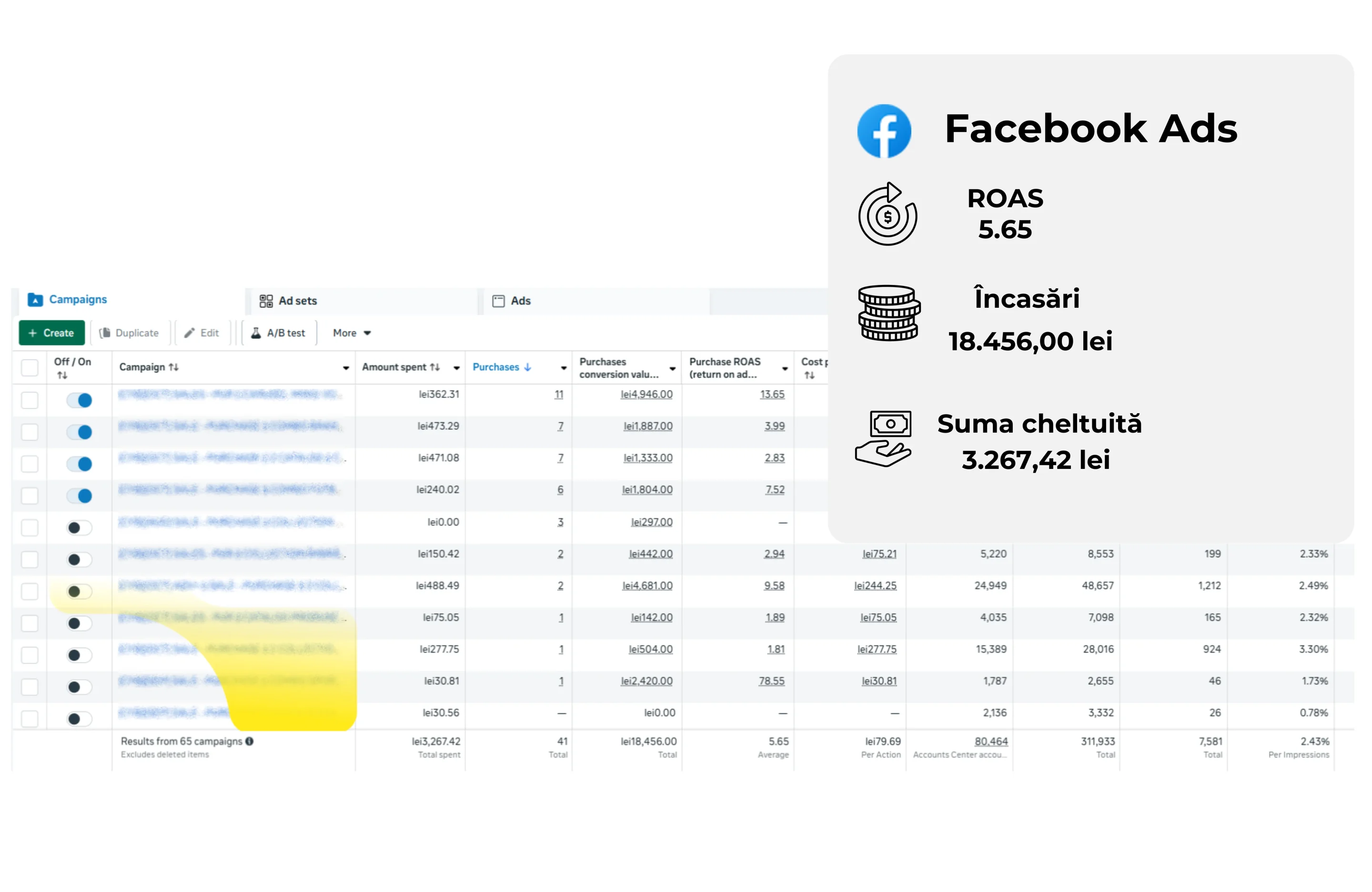 Optimizare zilnică a bugetului și ajustare pe baza performanței în campaniile Meta Ads