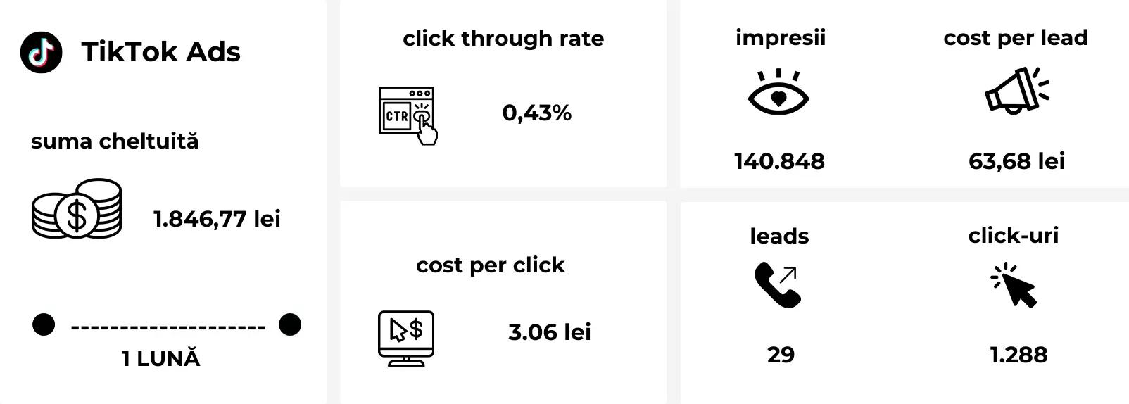 Rezultatele campaniilor cross-platform: lead-uri generate și cost per lead optimizat