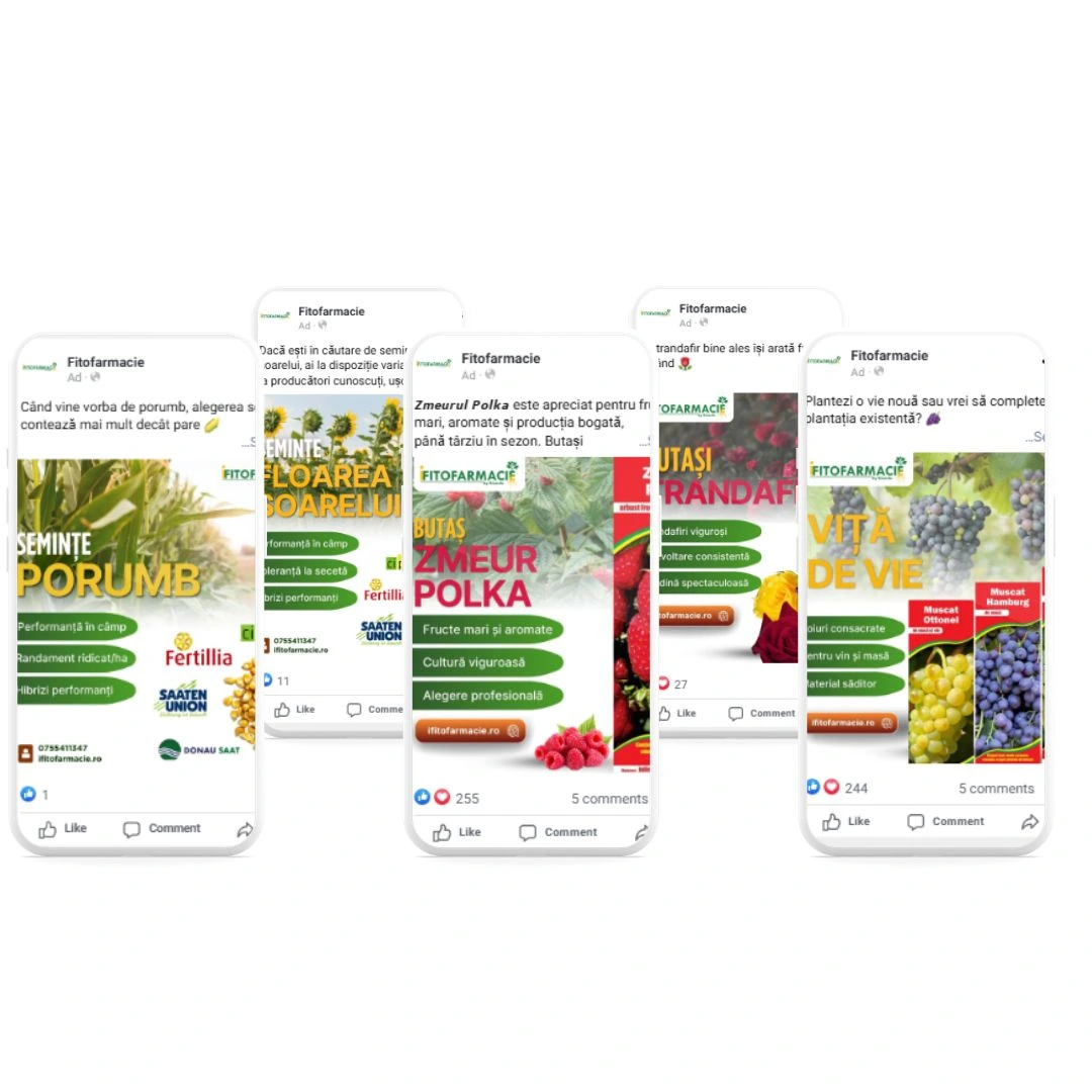 Rezultate reale din Meta Ads: strategie CYBERAXO® în acțiune